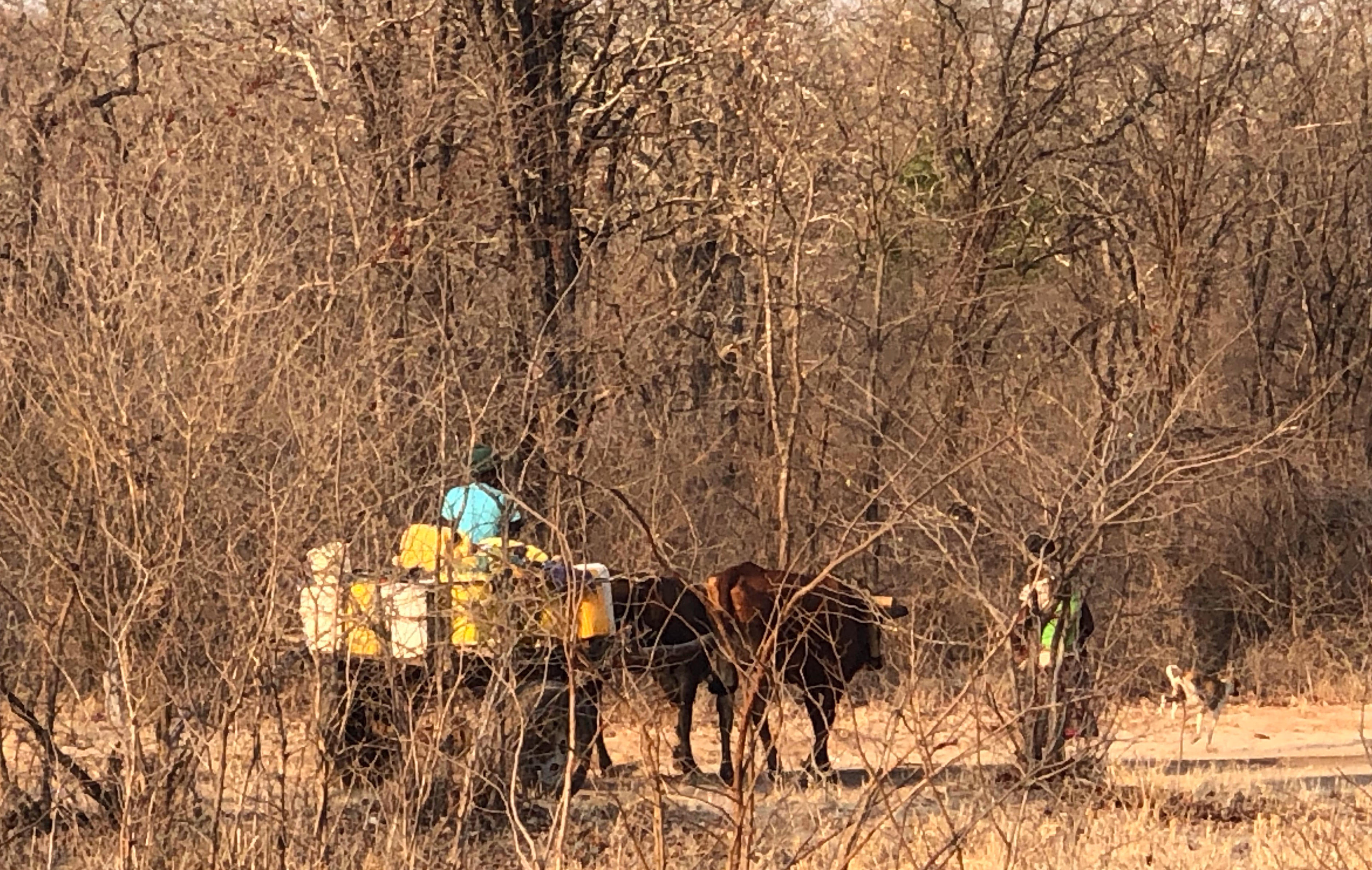 VGG7xW7HTZCGvM3aQwYYtg